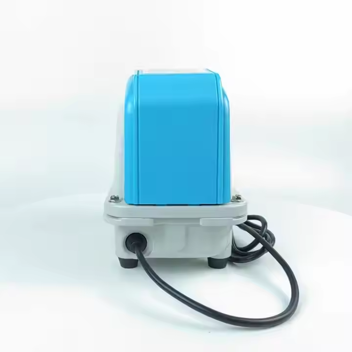 Aquarium Fish Price - Factory Price Aquarium Pump Fish Tank