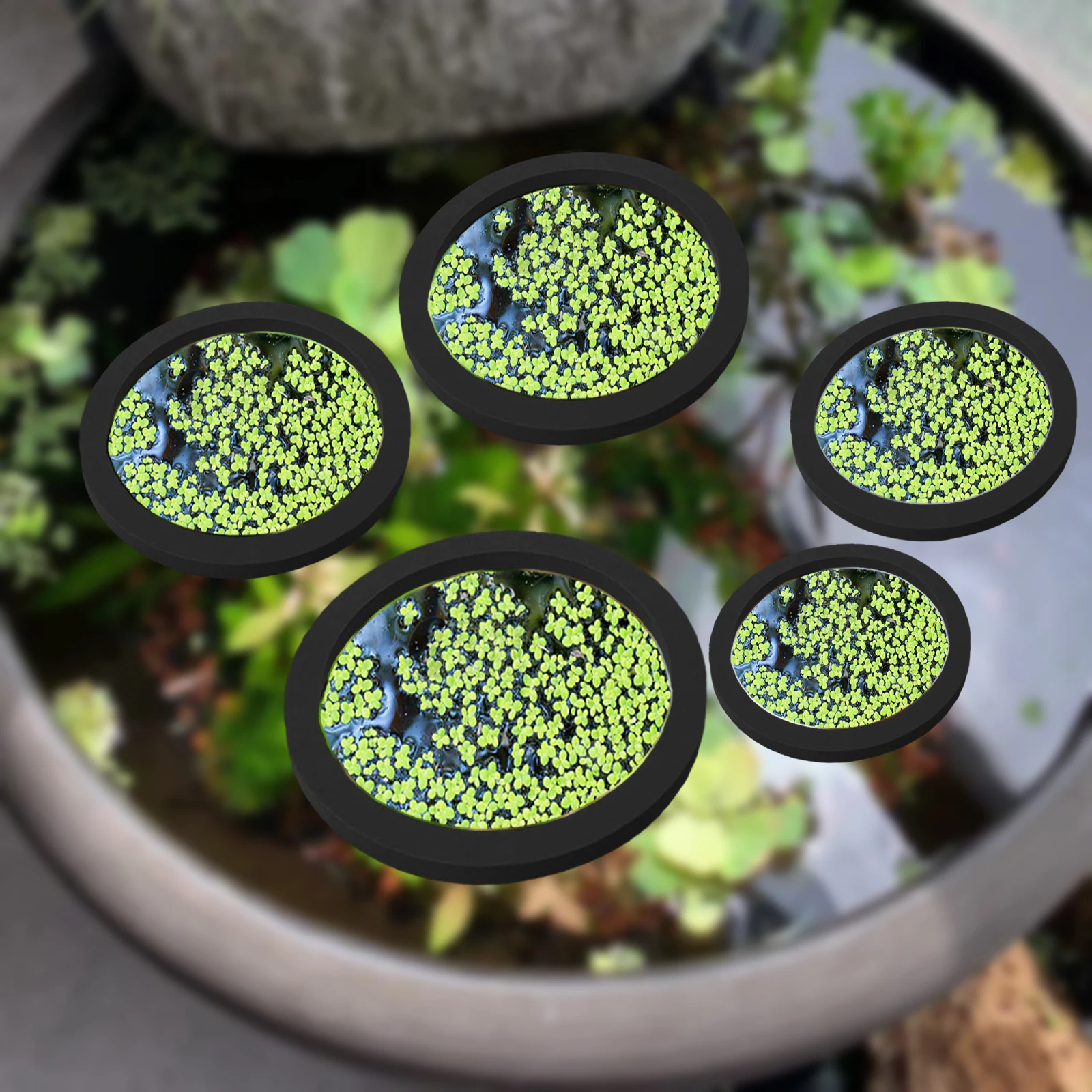 Aquarium Fish To Buy - 5Pcs EVA Fish Feeding Ring Aquarium