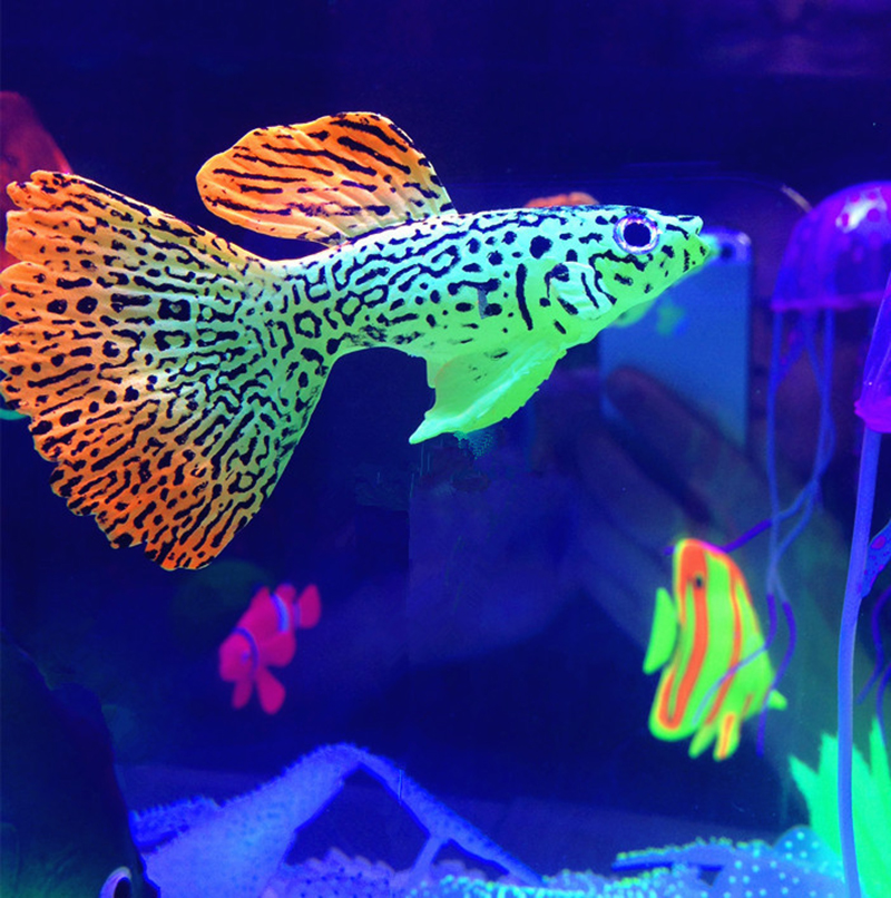 Aquarium Fish Discus - Artificial Aquarium Silicone Discus Clown Guppy