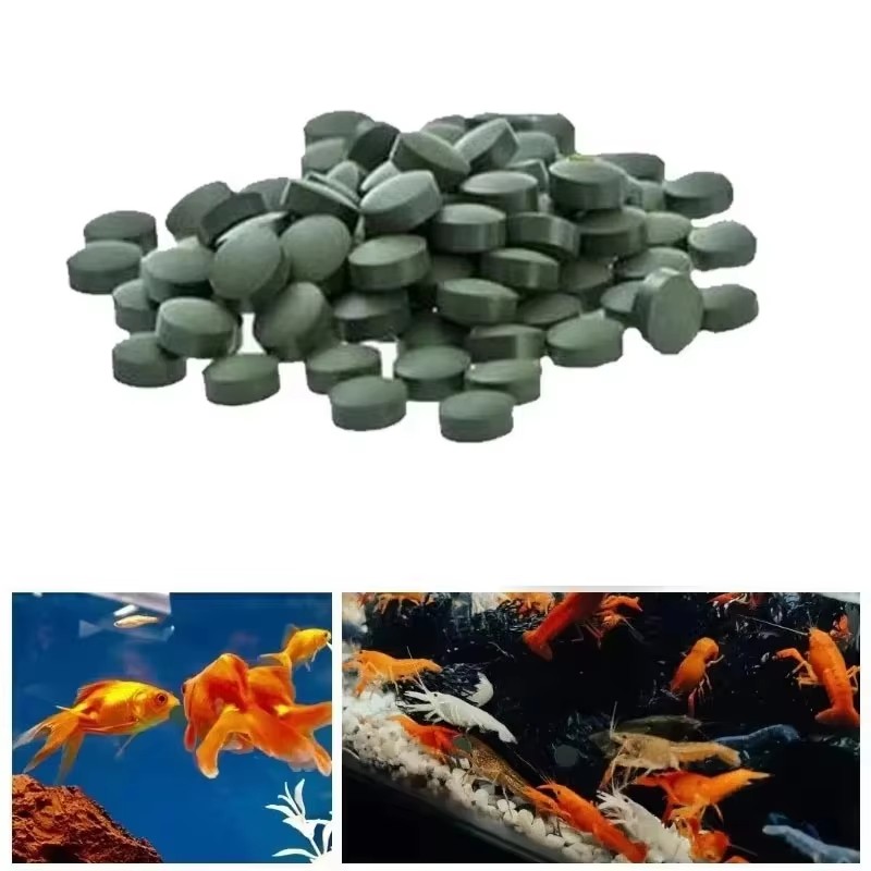 100-3000pcs High Purity Spirul - Aquarium Fish Vitamin 评论和价格