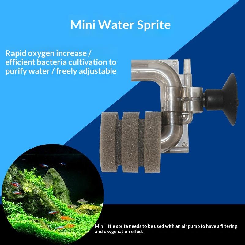 .Hot Sale-Mini Aquarium Sponge - Aquarium Fish Price 评论和价格