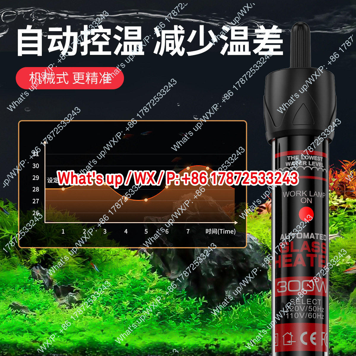 Export foreign trade 110V US s - Aquarium Fish Exporter 评论和价格