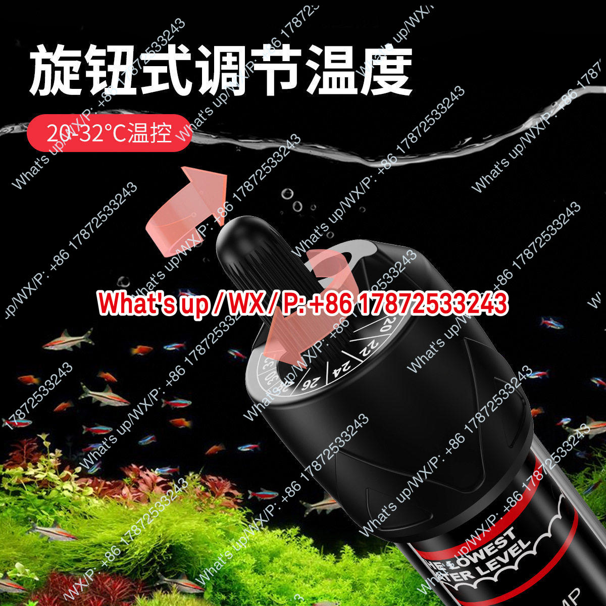 Export foreign trade 110V US s - Aquarium Fish Exporter 评论和价格