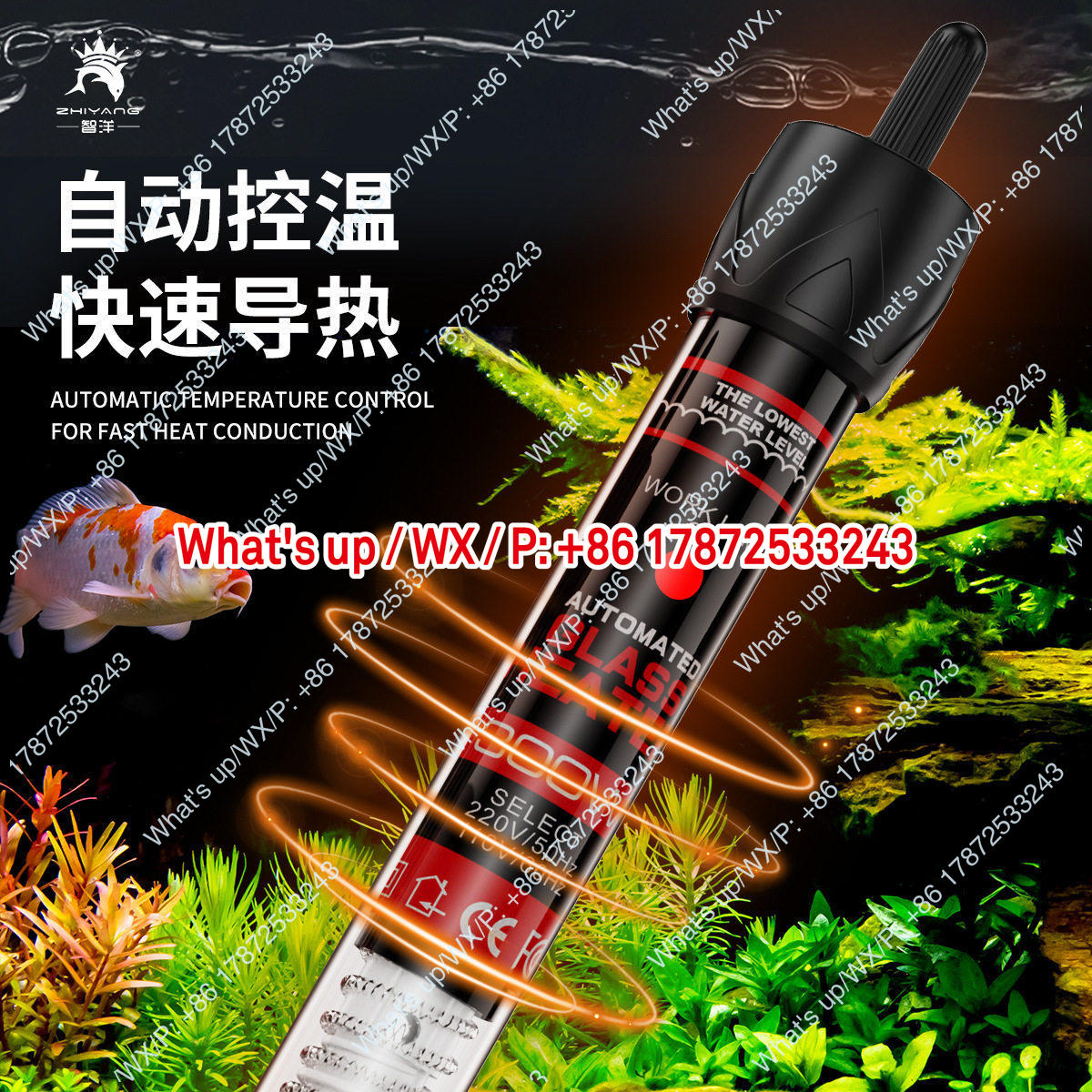 Export foreign trade 110V US s - Aquarium Fish Exporter 评论和价格