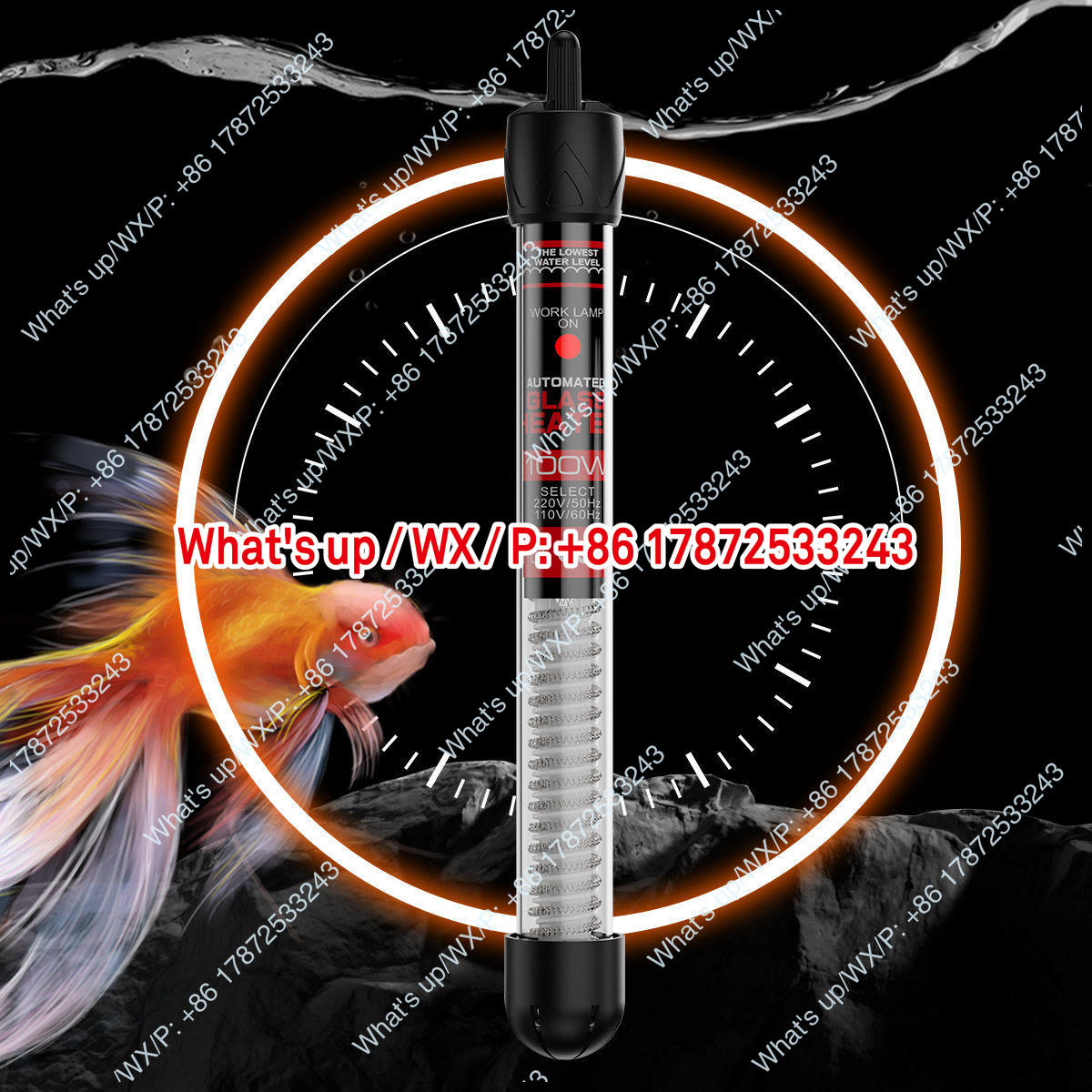 Export foreign trade 110V US s - Aquarium Fish Exporter 评论和价格