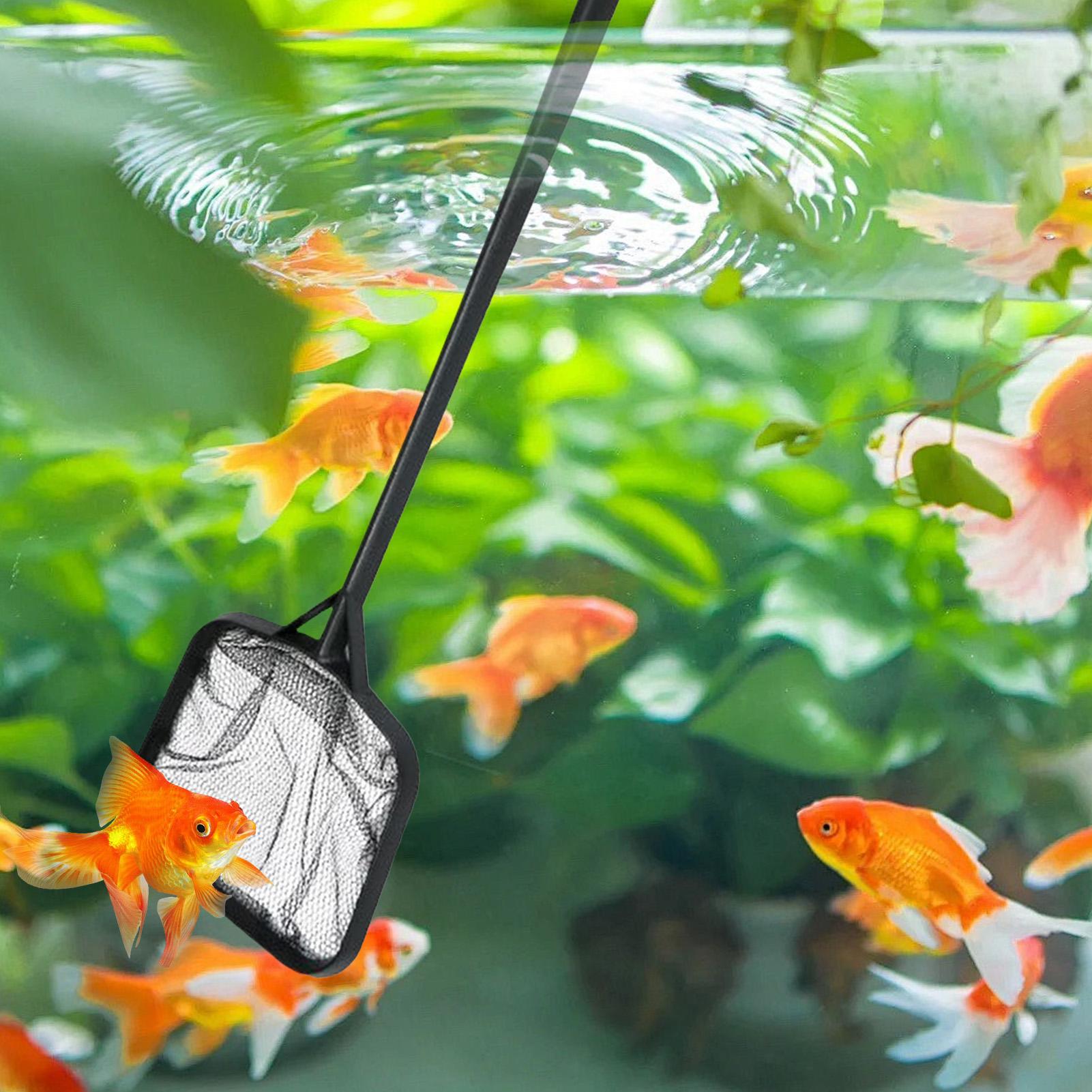 Pool Nets for Cleaning Portabl - Aquarium Fish To Buy 评论和价格