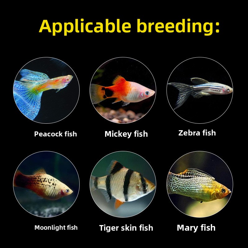 PORPOISE Tropical Fish Food -  - Aquarium Fish Vitamin 评论和价格