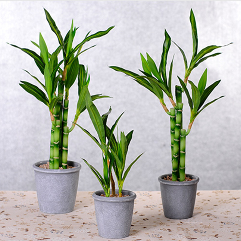 New 40cm Artificial Lucky Bamb - Aquarium Fish To Buy 评论和价格