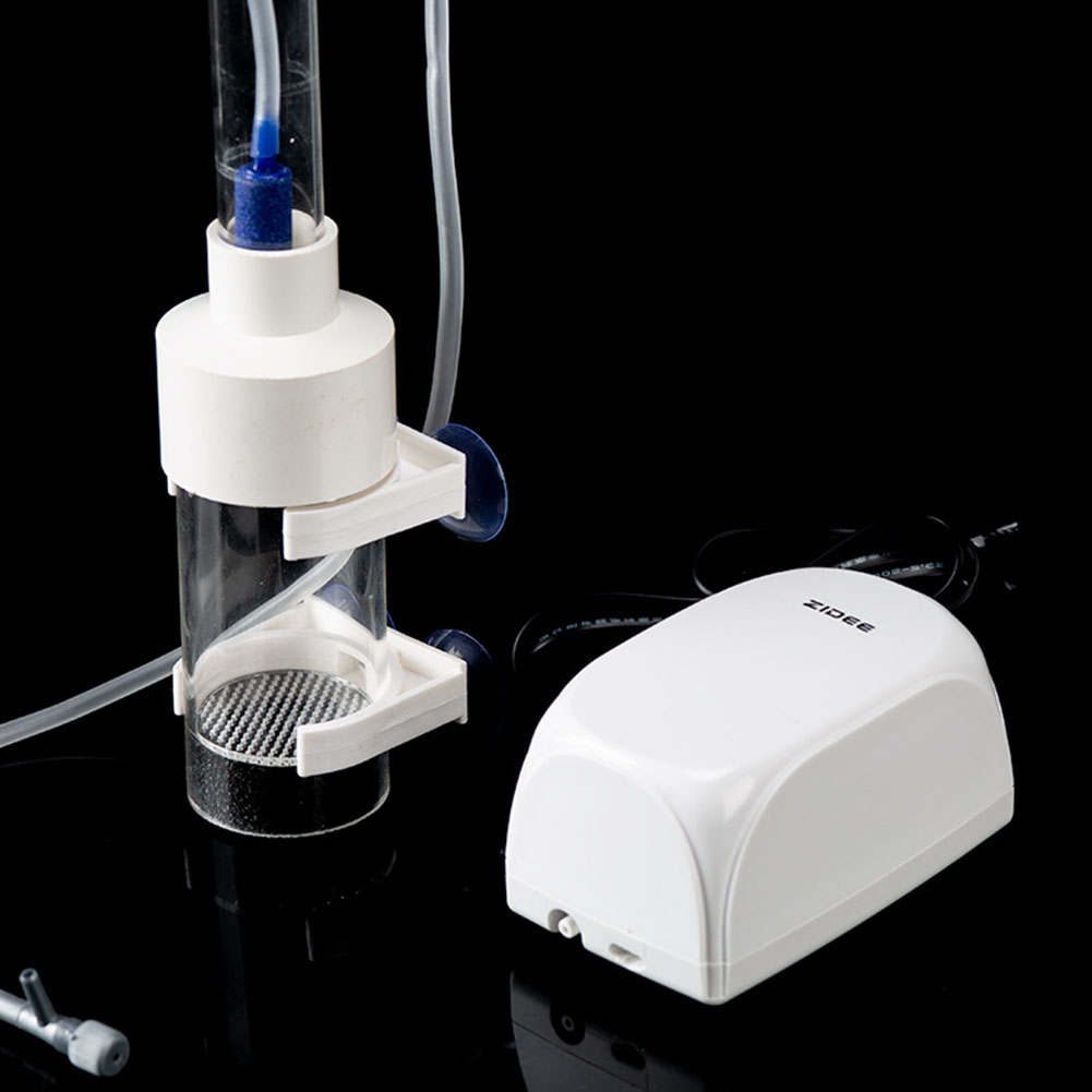 40mm Incubator Fish Hatchery E - Aquarium Fish Eggs 评论和价格