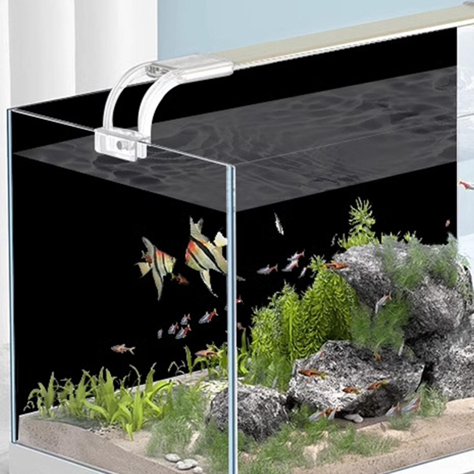 Black Aquarium Background Stat - Aquarium Fish Background 评论和价格