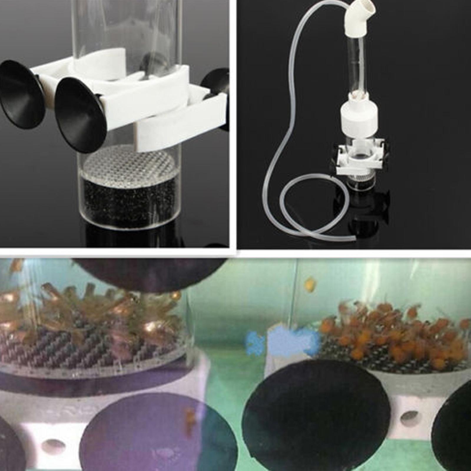 Egg Incubator Fish Acrylic Hat - Aquarium Fish Eggs 评论和价格