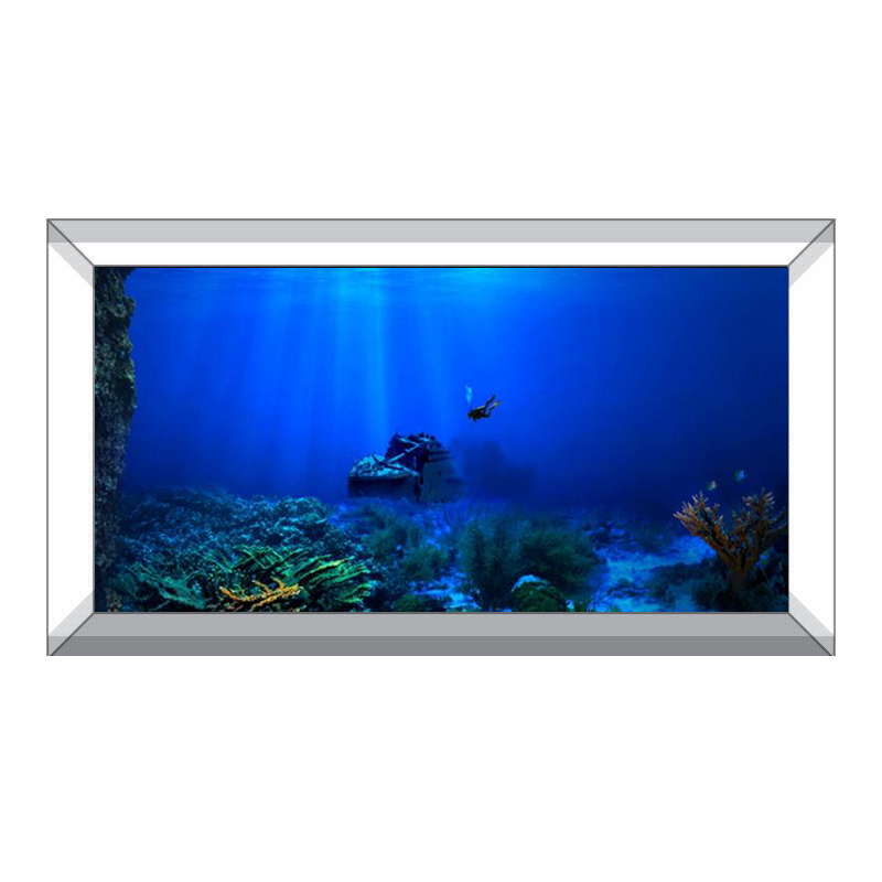 Fish Tank Background Decorativ - Aquarium Fish World 评论和价格