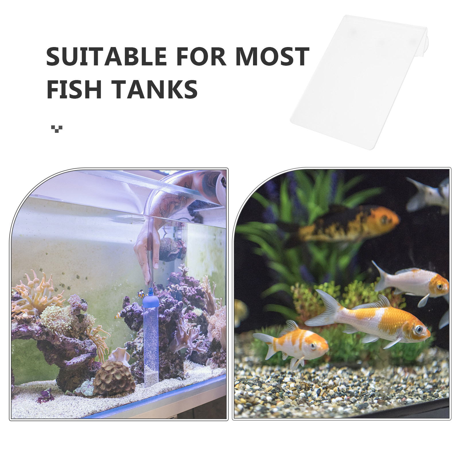 Removable Fish Breeding Lightw - Aquarium Fish Discus 评论和价格