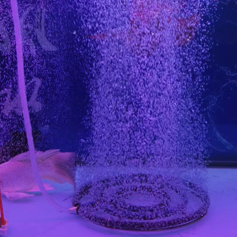 304 Stainless Steel Nano Oxyge - Aquarium Fish Discus 评论和价格