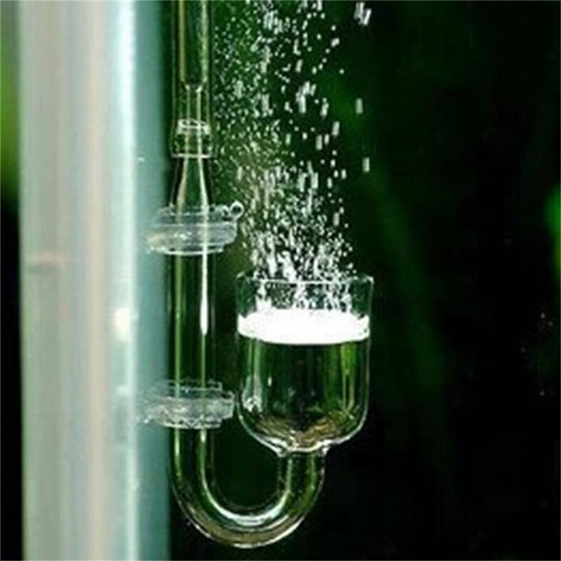 Glass U Shaped CO2 Diffuser fo - Aquarium Fish Discus 评论和价格