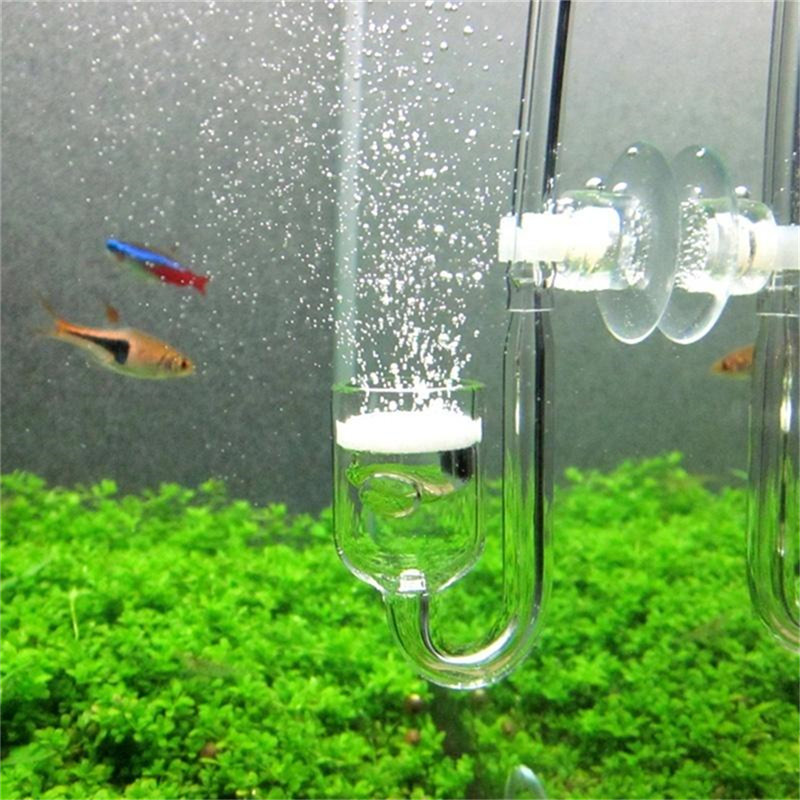 Glass U Shaped CO2 Diffuser fo - Aquarium Fish Discus 评论和价格