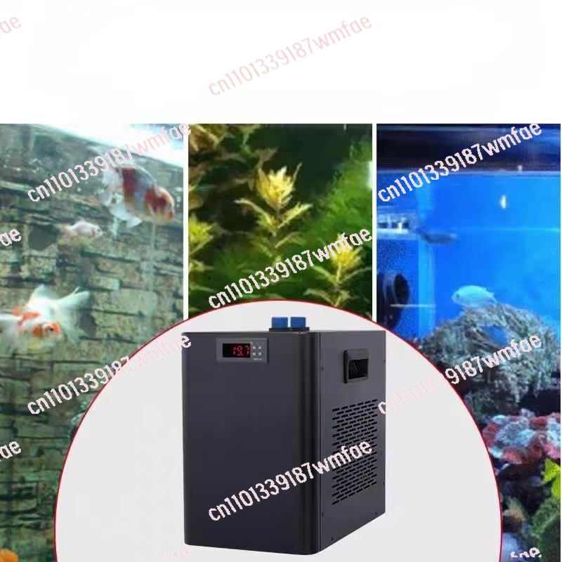 1Hp black aquarium fish tank c - Aquarium Fish Black 评论和价格