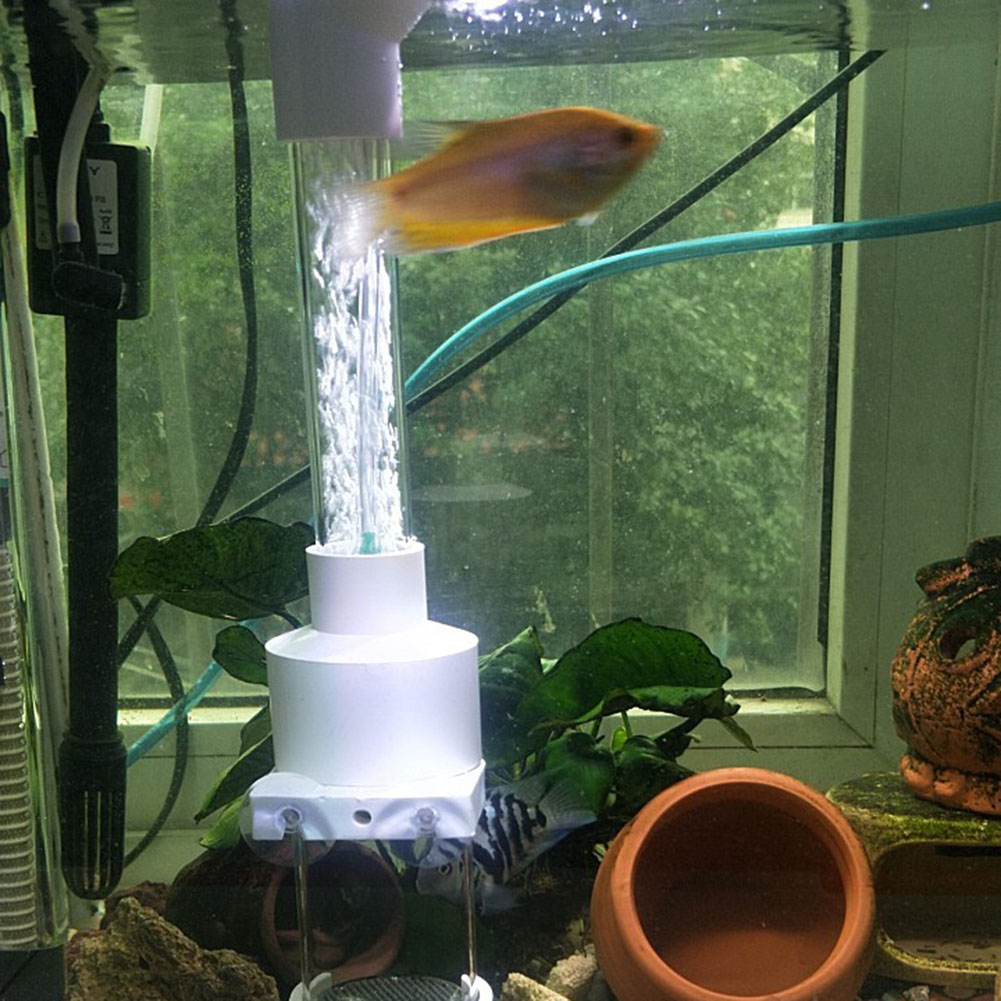40mm Tumbler Incubator Fish Ha - Aquarium Fish Eggs 评论和价格