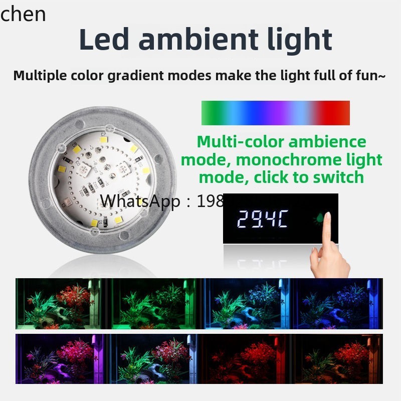 YGG  ultra-white glass small f - Aquarium Fish Without Oxygen 评论和价格