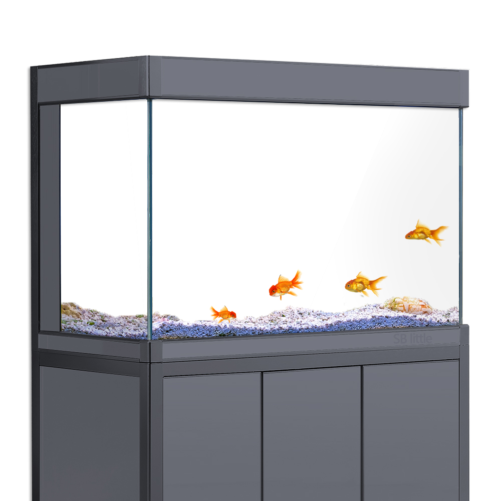 Aquarium Background Static Cli - Aquarium Fish Background 评论和价格