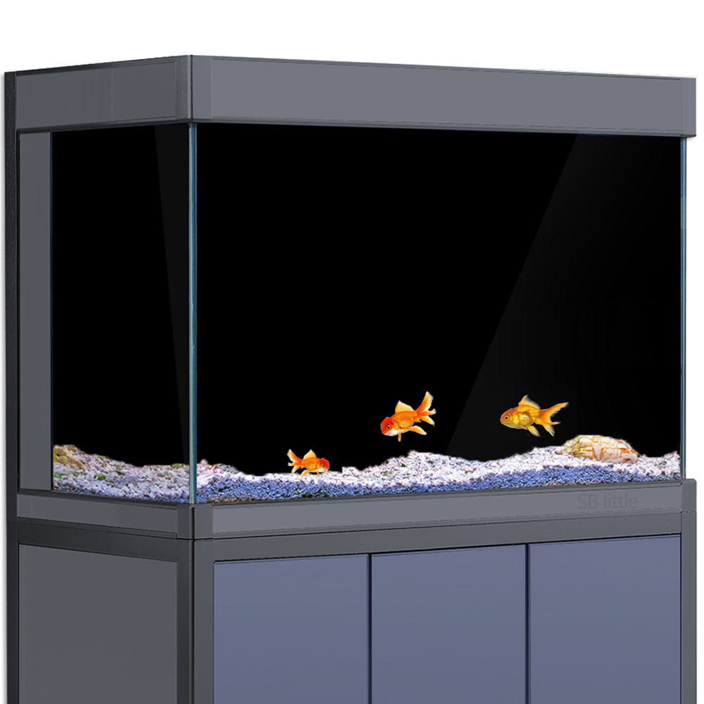 Aquarium Background Static Cli - Aquarium Fish Background 评论和价格