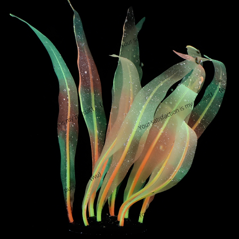Simulated Kelp Plant Decoratio - Aquarium Fish World 评论和价格