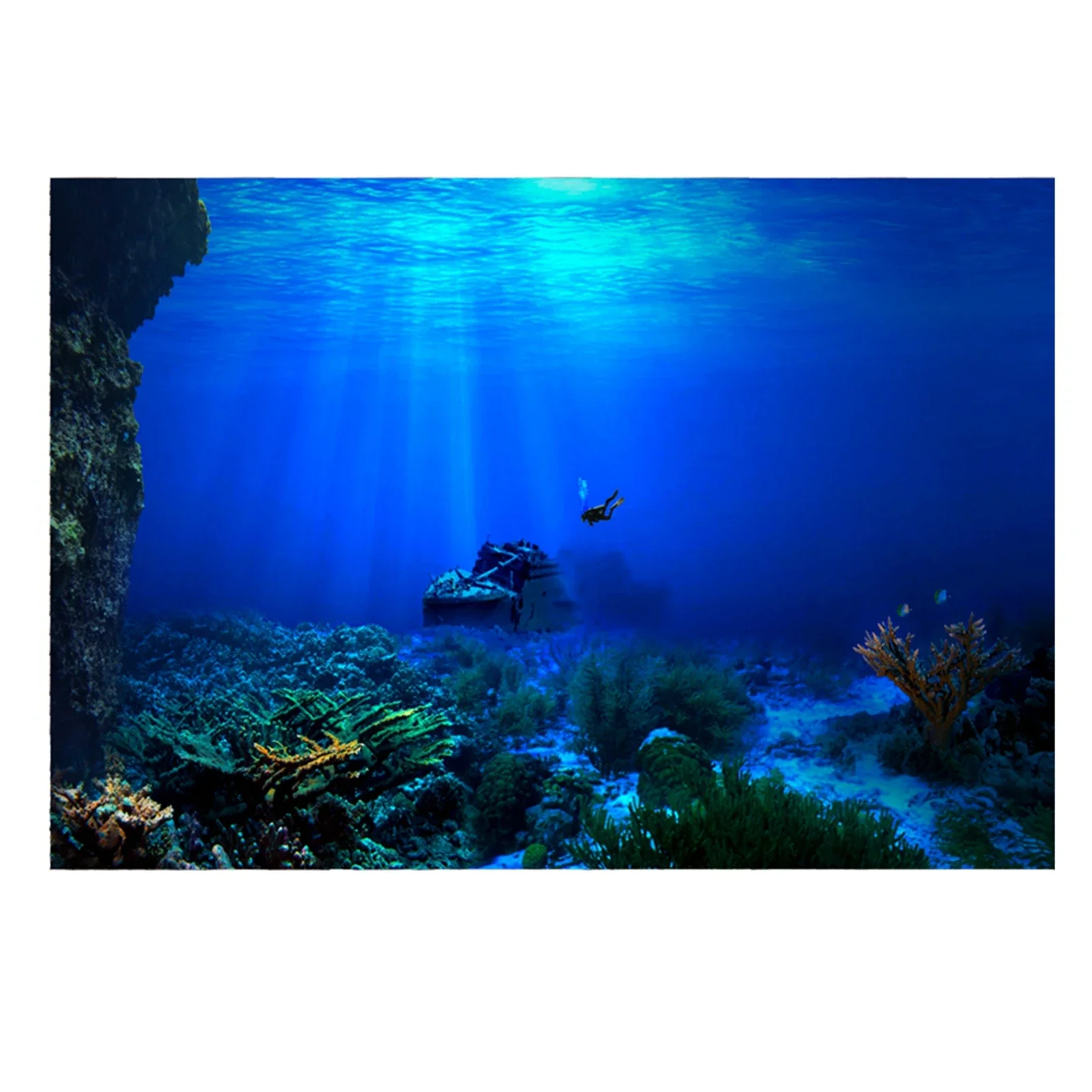 Rainforest Aquarium Background - Aquarium Fish World 评论和价格