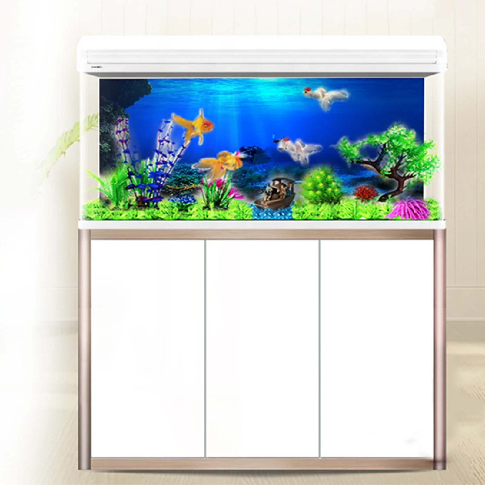 Rainforest Aquarium Background - Aquarium Fish World 评论和价格