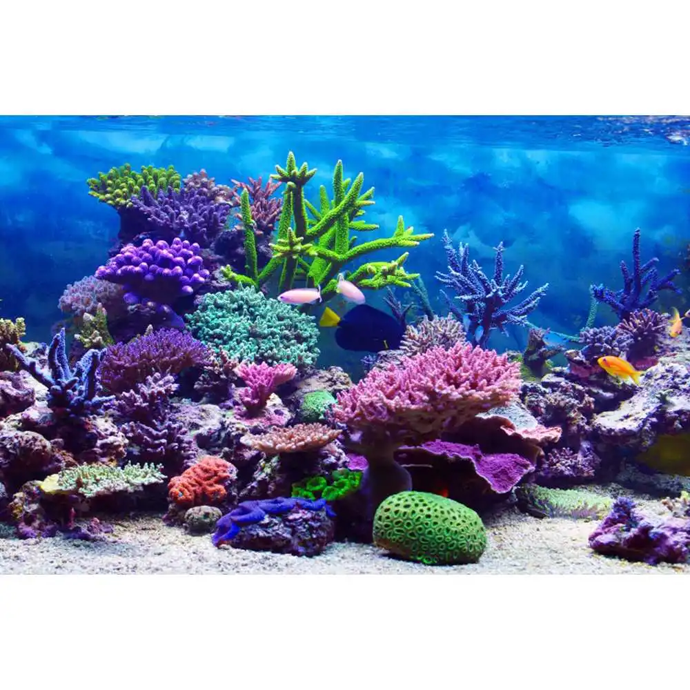 Underwater World Seabed Backdr - Aquarium Fish World 评论和价格
