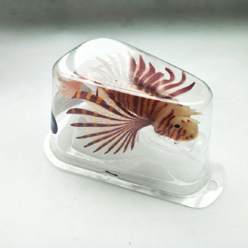 Novel and Funny Toy Fish Tank  - Aquarium Fish Exporter 评论和价格