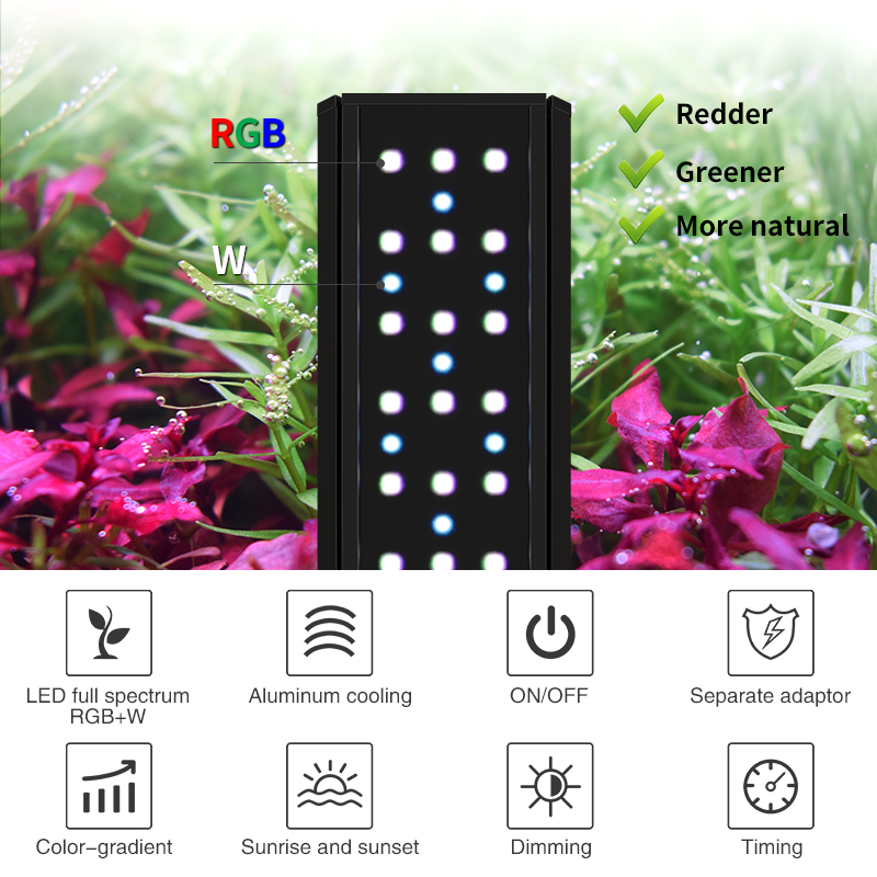 ZXY WEEKAQUA V300SE Best Price - Aquarium Fish Price 评论和价格