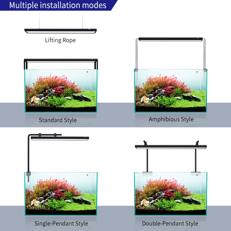 ZXY WEEKAQUA V300SE Best Price - Aquarium Fish Price 评论和价格