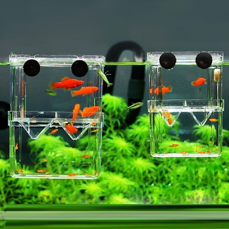 Multifunctional Fish Aquarium  - Aquarium Fish Background 评论和价格