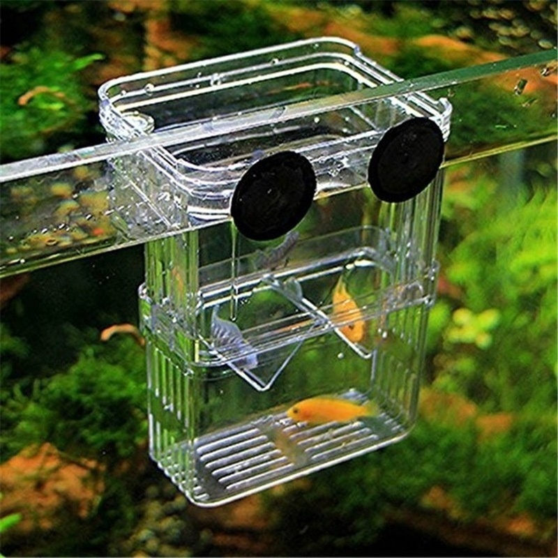 Multifunctional Fish Aquarium  - Aquarium Fish Background 评论和价格