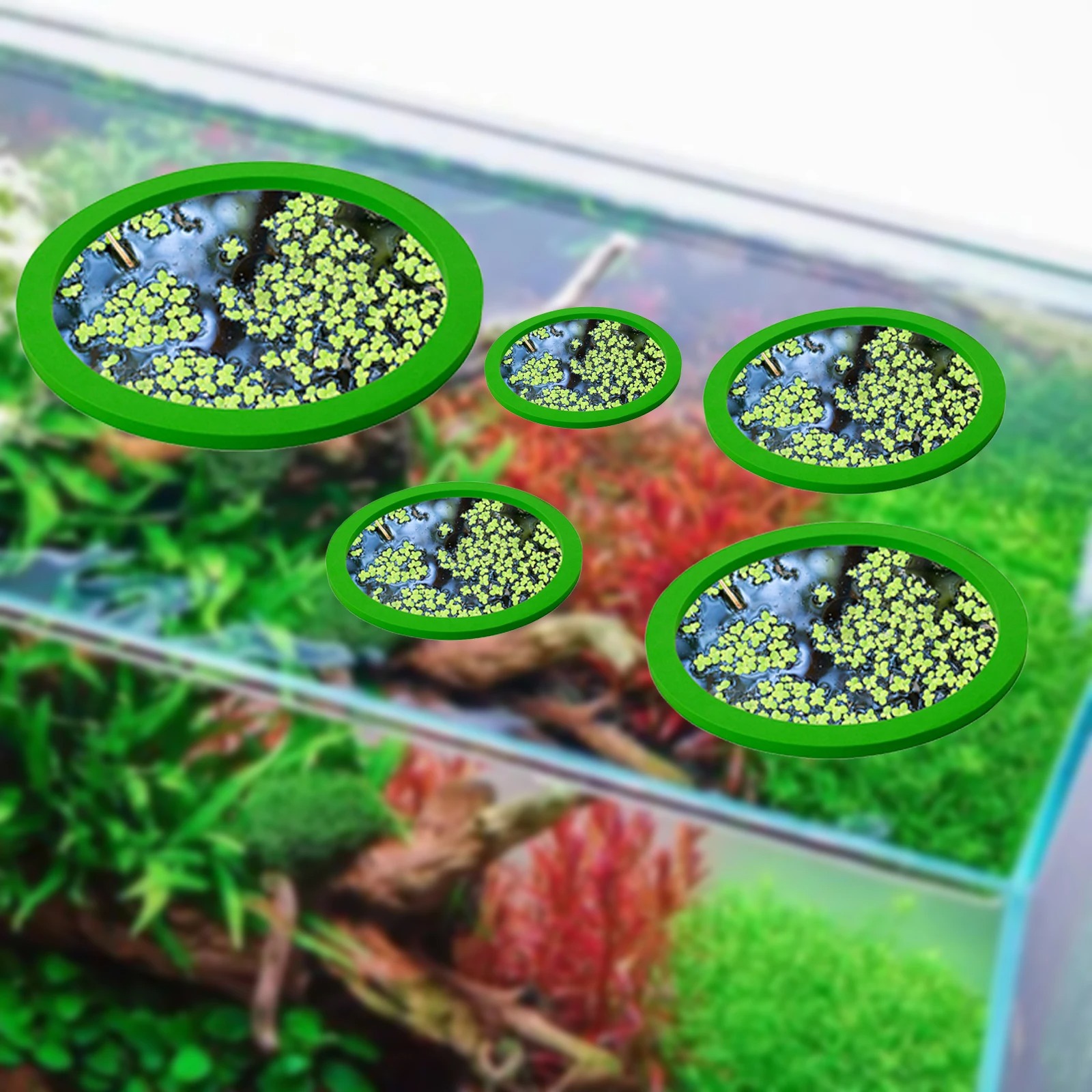 5Pcs EVA Fish Feeding Ring Aqu - Aquarium Fish To Buy 评论和价格