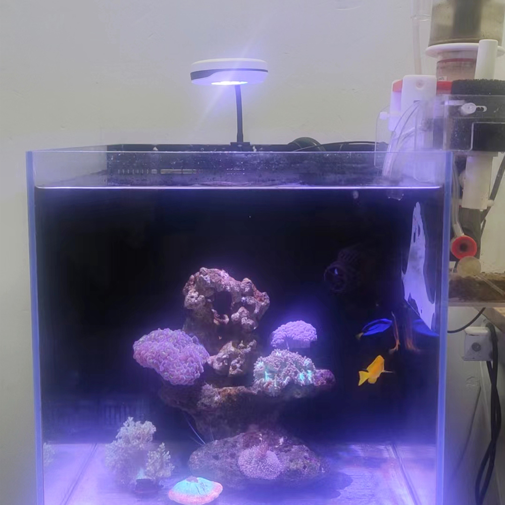20W Spectra SP20 Ac110-240V Fr - Refugium Light Nano 评论和价格