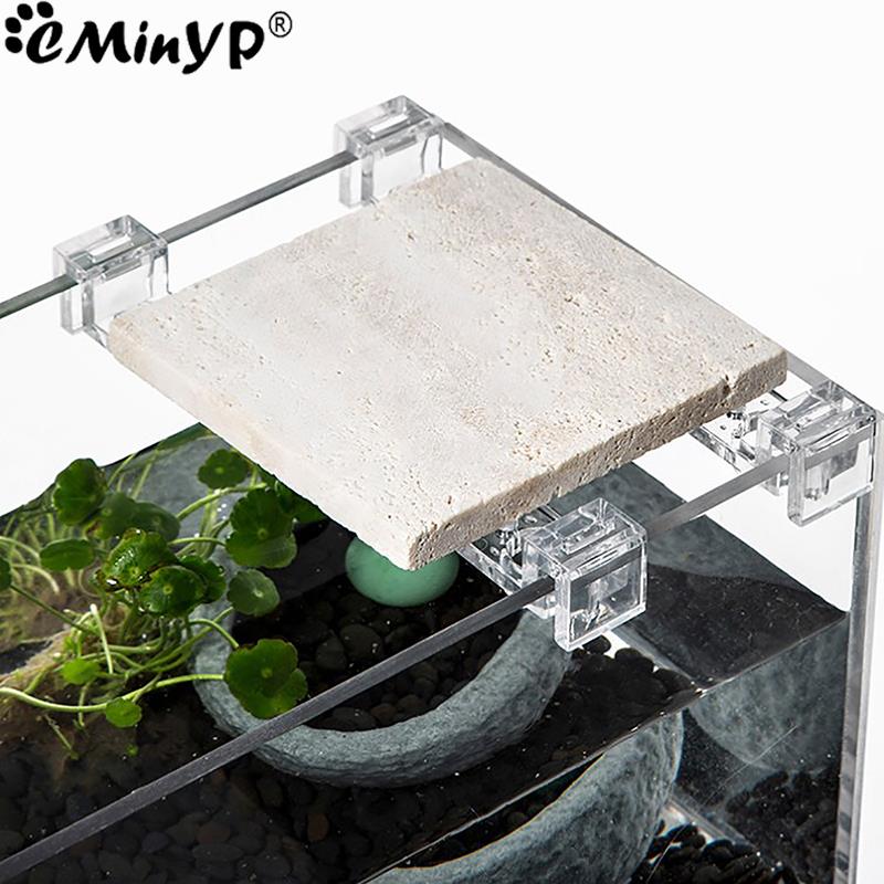 4Pcs Fish Tank Acrylic Clips f - Aquarium Fish Background 评论和价格