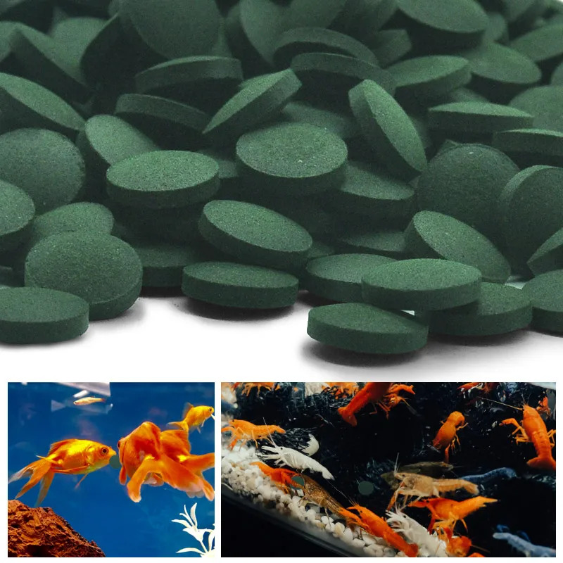 50-300Pcs High Purity Spirulin - Aquarium Fish Vitamin 评论和价格