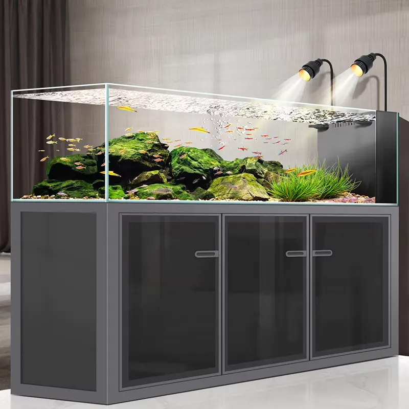 Factory Price 240 Gallons Rect - Aquarium Fish Price 评论和价格
