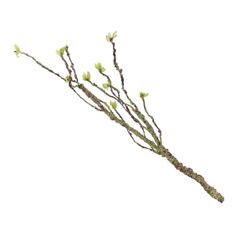 Vines Decor Climbing Branches  - Aquarium Fish To Buy 评论和价格