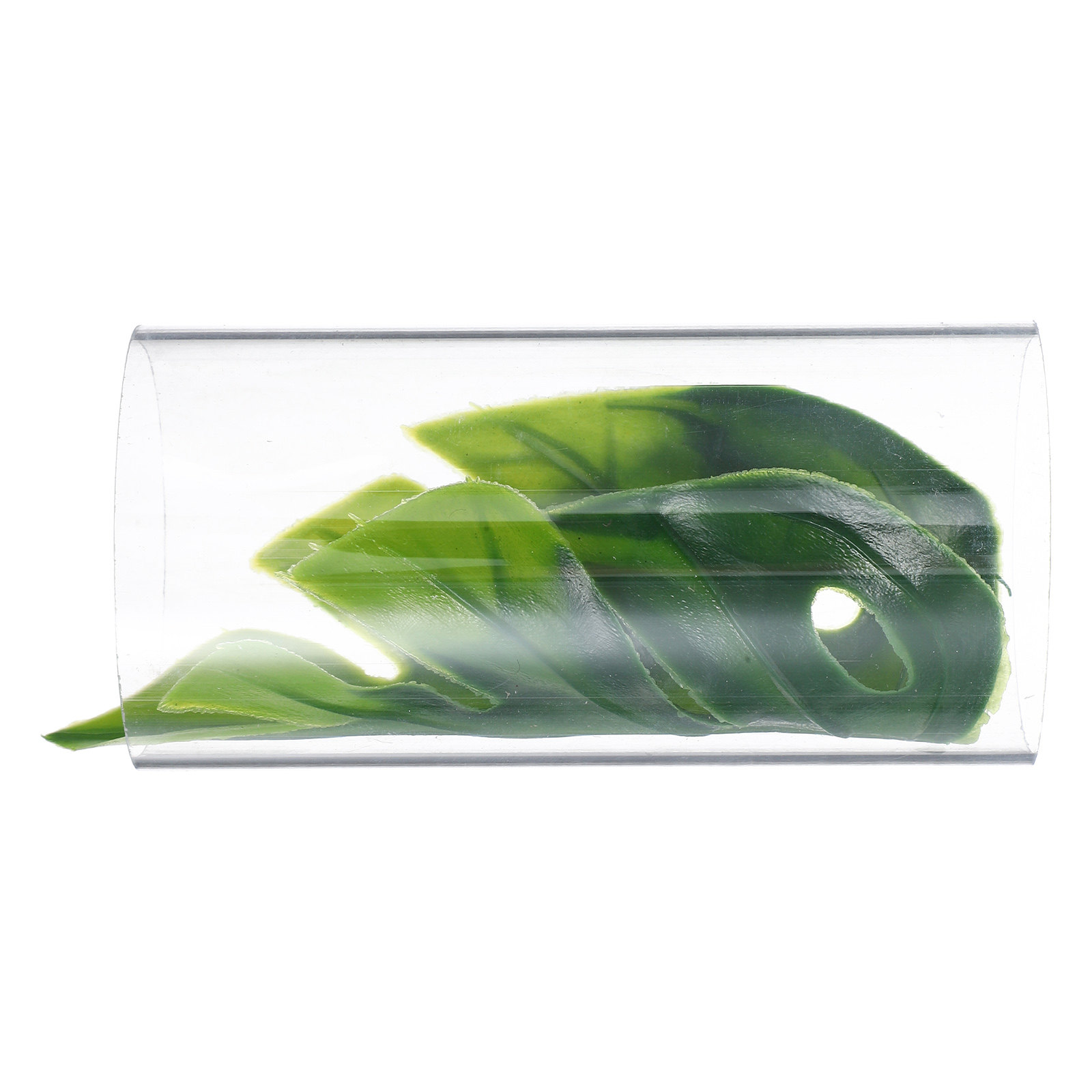 Betta Fish Transparent Tube Tu - Fish Aquarium Youtube Relaxing 评论和价格