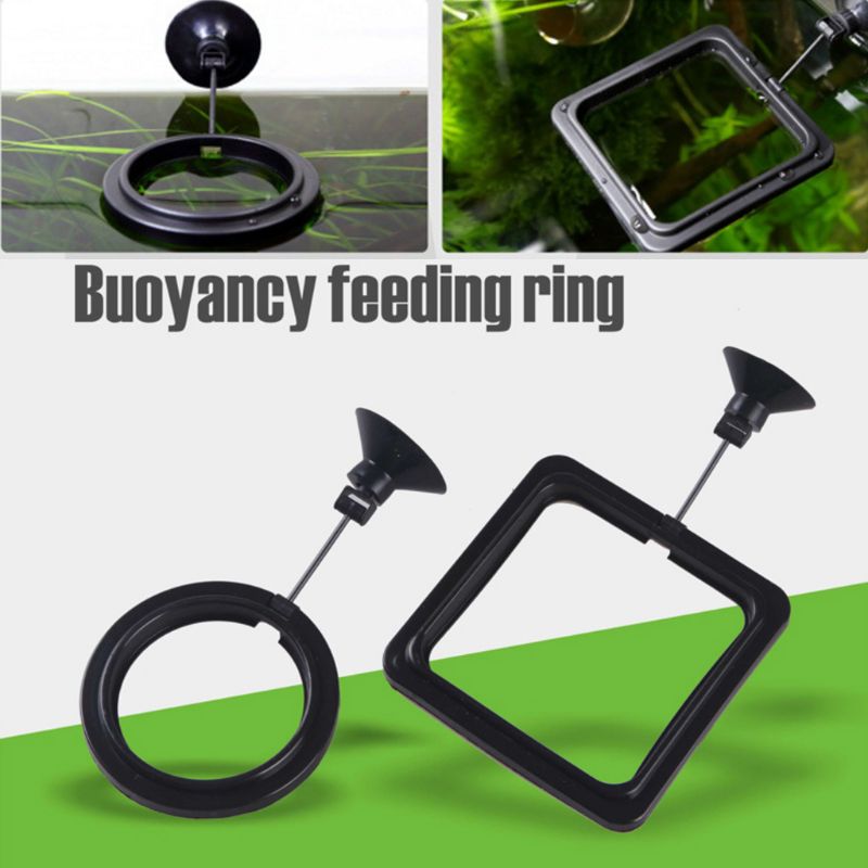 Aquarium Fish Feeding Ring Fis - Aquarium Fish Price 评论和价格